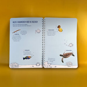 Reisdagboek Curacao_StudioToedeloe_006